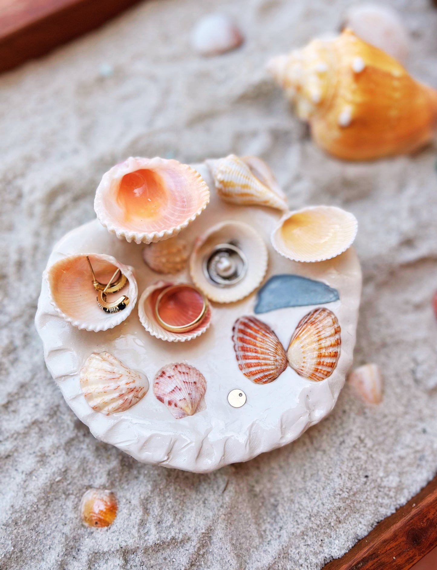La Mini Del Mar Seashell Palette