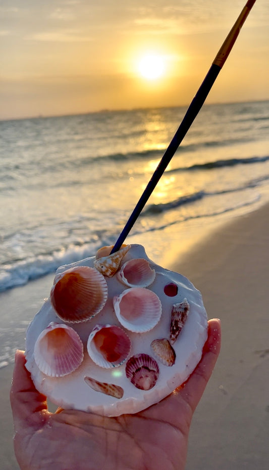 La Mini Del Mar Seashell Palette